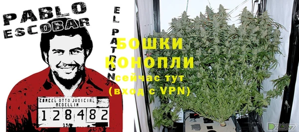 сатива Балахна