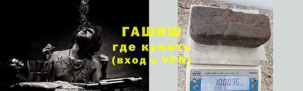 сатива Балахна